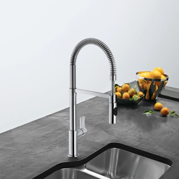 Μπαταρία κουζίνας Franke Fox Spray