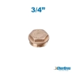 Ορειχάλκινη Τάπα Αρσενική 3/4''